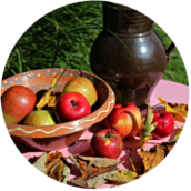 apples1-removebg-preview (1)